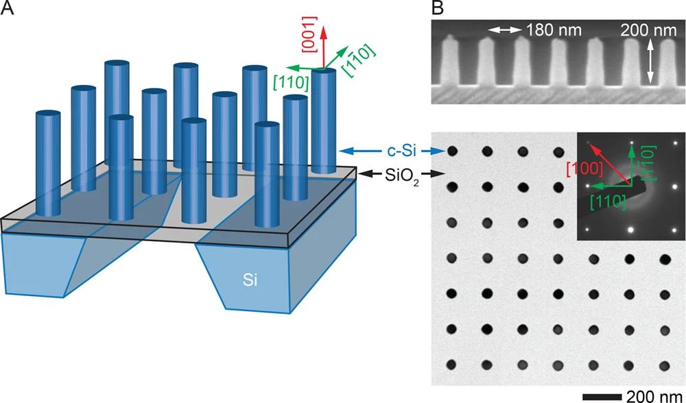 Figure 1. Overview of c-Si nanowires test structure. (A) Schematic illustration of a test chip used for etching studies.