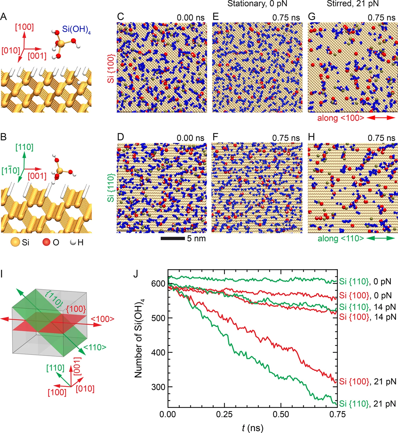 Figure 4. Molecular dynamics simulations of etch byproducts on a Si surface. Atomic-scale view of (A) Si {100} and (B){1