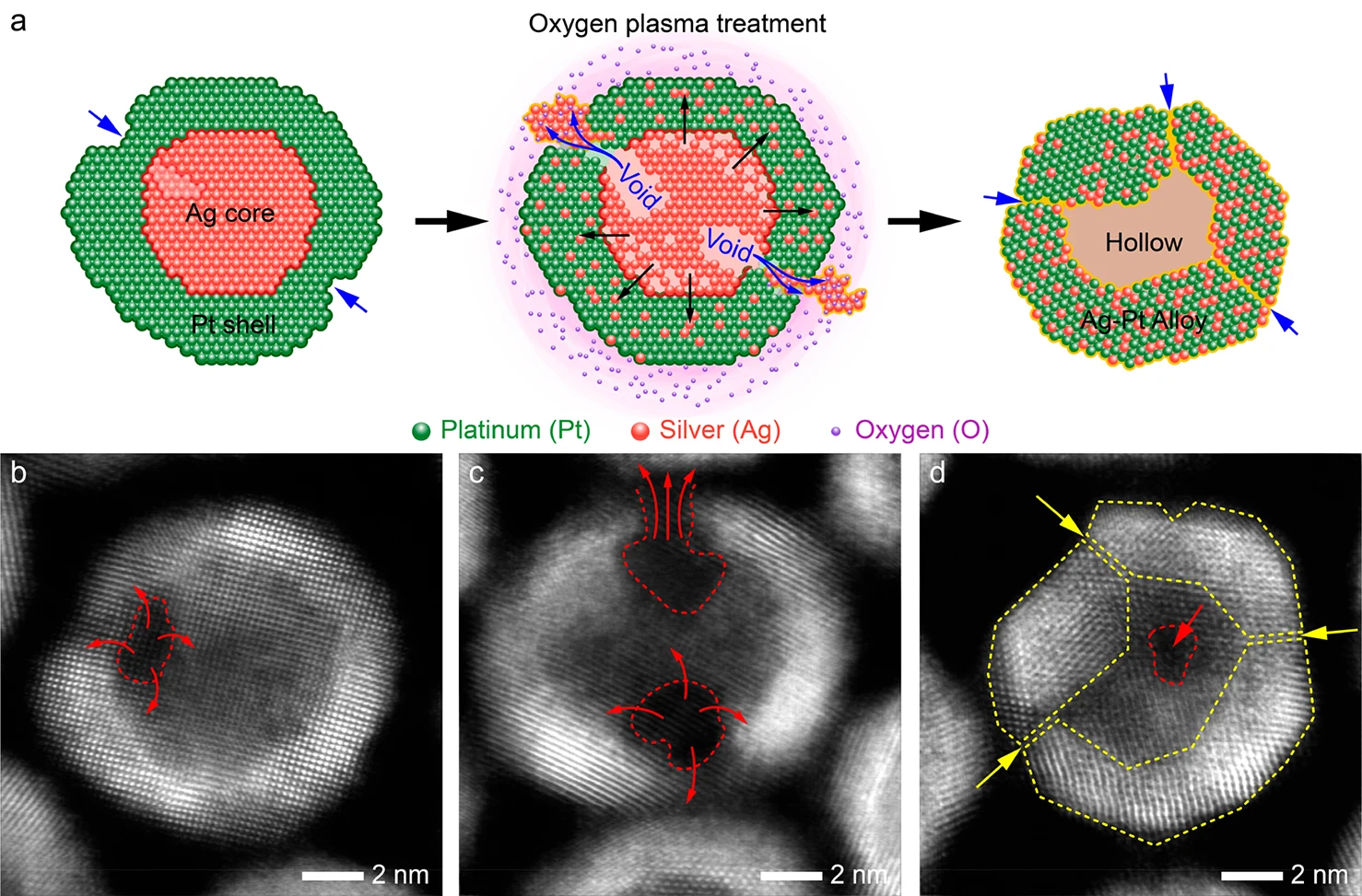 Figure 2. (a) Schematic drawing of the proposed diffusion mechanism of Ag toward the Pt shell leading to the hollow nano