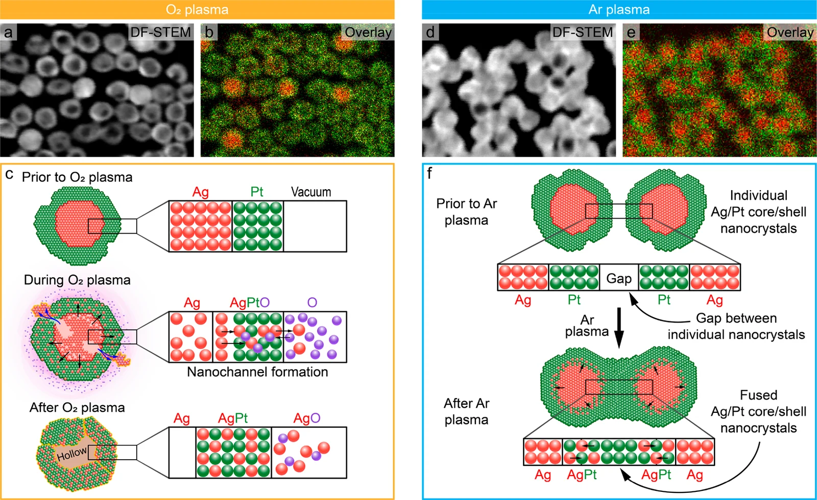 Figure 4. Effect of reactive and inert plasma treatment. Dark-field STEM images of (a) O2 (reactive) and (d) Ar (inert) 