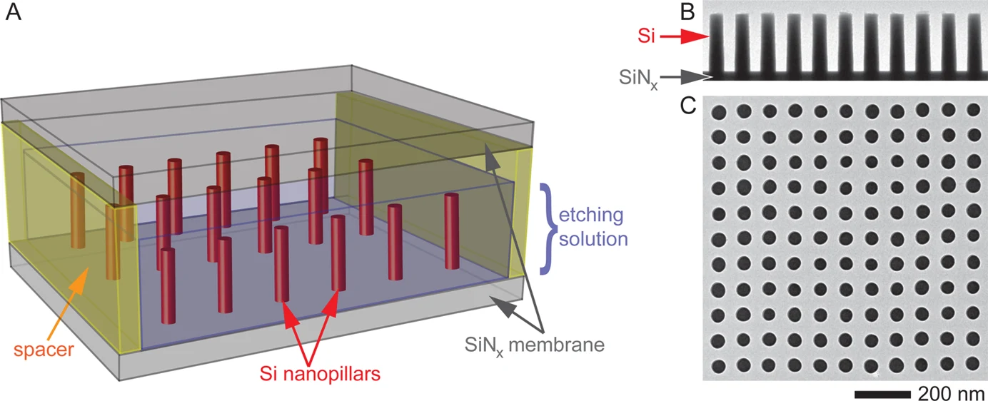 Figure 1. Experimental configuration: amorphous Si (a-Si) nanopillars on SiNx membrane. (A) Schematic of a liquid cell w