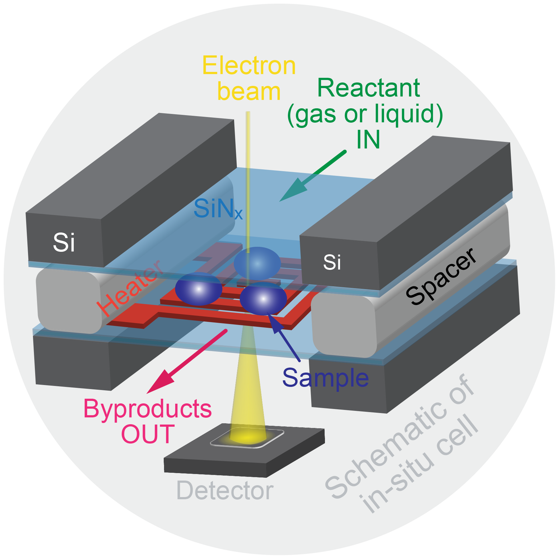 Schematic of the in-situ liquid/gas cell inside the TEM: electron beam, SiNx windows, heater, sample, reactant in and byproducts out
