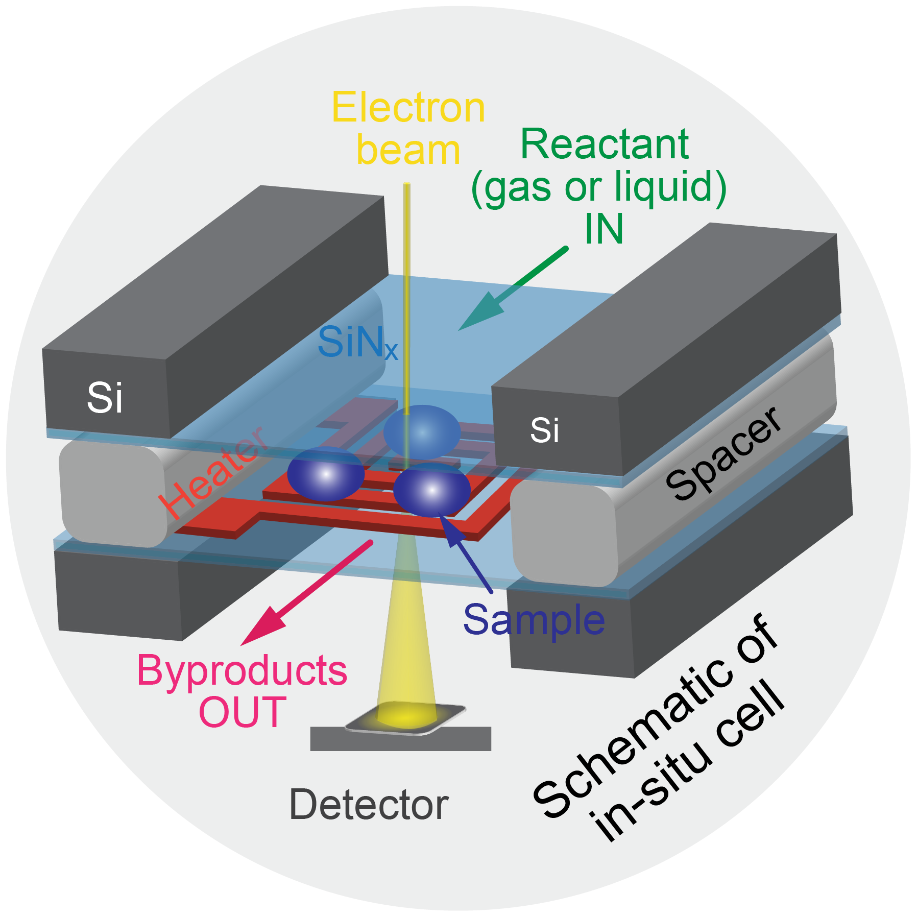 Schematic of the in-situ liquid/gas cell inside the TEM: electron beam, SiNx windows, heater, sample, reactant in and byproducts out